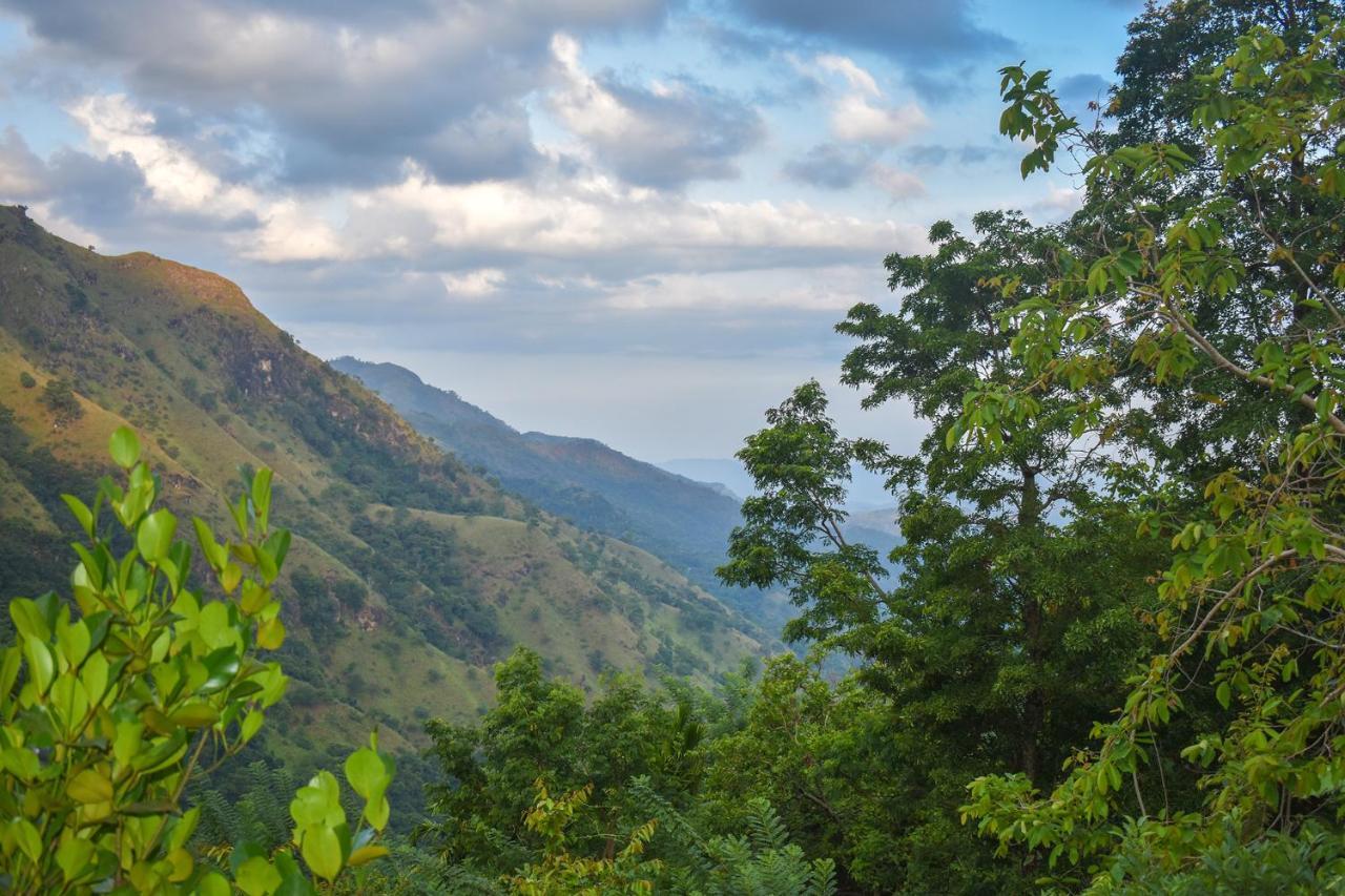 Nature Green Hotels On Rock Home Элла Экстерьер фото