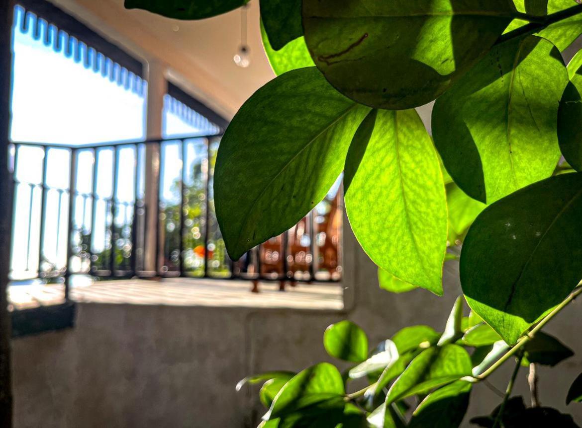 Nature Green Hotels On Rock Home Элла Экстерьер фото